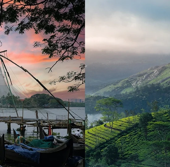 Cochin to Munnar - 2 Nights 3 Days