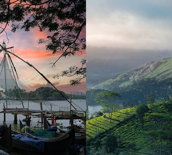 Cochin to Munnar - 2 Nights 3 Days